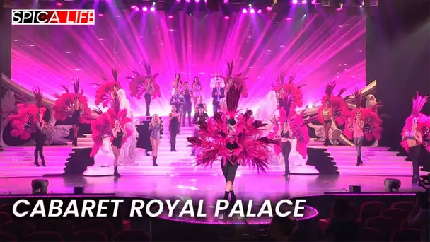 Royal Palace : le cabaret qui fait rêver