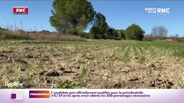 Des agriculteurs frappés par la sécheresse en plein hiver