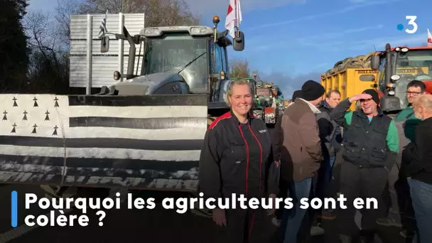 Pourquoi les agriculteurs sont en colère ?