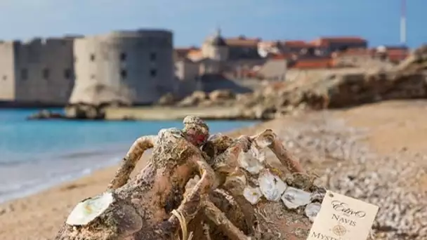 Insolite : visitez la cave à vin sous-marine d'Edivo Vina en Croatie !