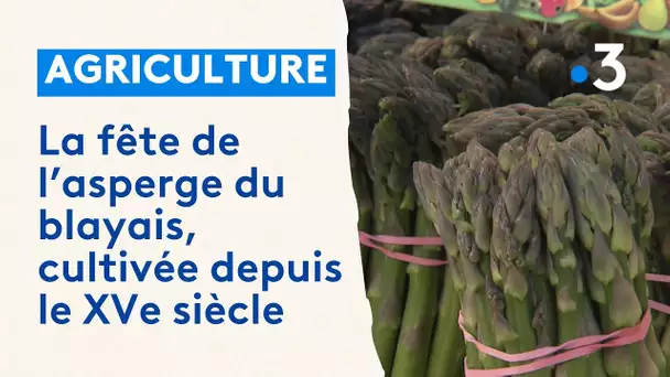 La fête de l'asperge du blayais