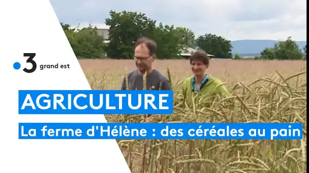 Vision citoyenne à la ferme d'Hélène à Hatten qui propose une agriculture alternative