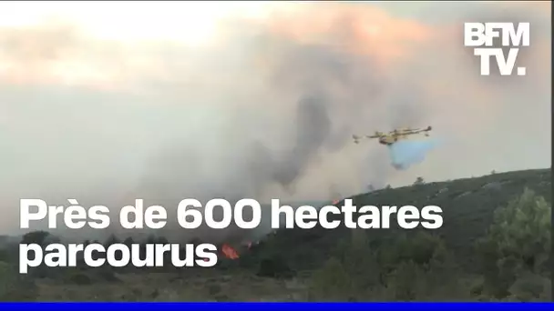 Après avoir stabilisé l'incendie dans l'Aude, les pompiers tentent de le fixer