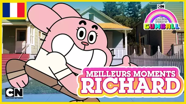 Le Monde Incroyable de Gumball 🇫🇷 | Les meilleurs moments de Richard #6