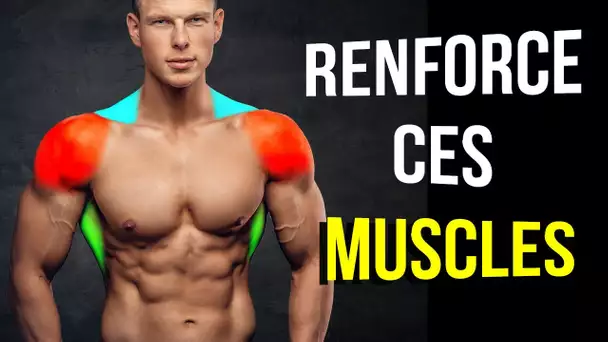 Entraîne Seulement 3 Muscles Pour Obtenir un dos et des Épaules Imposants