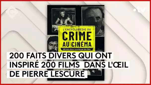 Au cinéma, le crime paie très bien - L’Oeil de Pierre - C à Vous - 19/12/2023