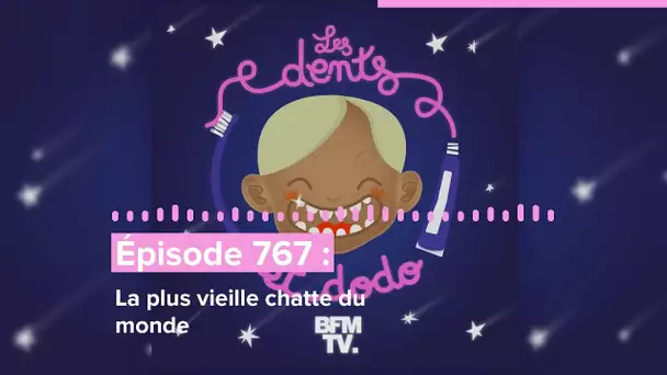 Les dents et dodo - “Épisode 767 : La plus vieille chatte du monde”