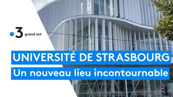 Université de Strasbourg : le "Studium", nouveau lieu incontournable des étudiants