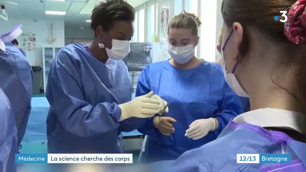 Don du corps à la science. Immersion au laboratoire d'anatomie de la faculté de médecine de Rennes