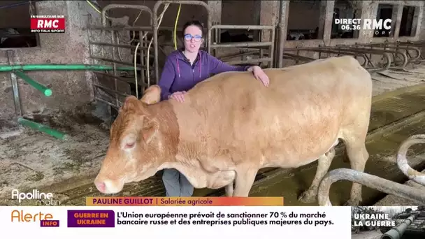 Salon de l'Agriculture : 500 000 visiteurs et professionnels attendus