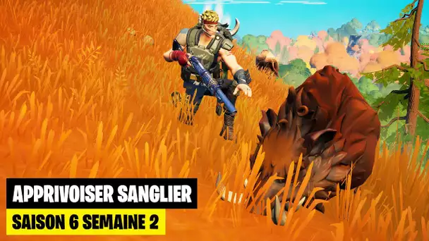 COMMENT APPRIVOISER UN SANGLIER SUR FORTNITE ! (FORTNITE DEFIS SEMAINE 2)