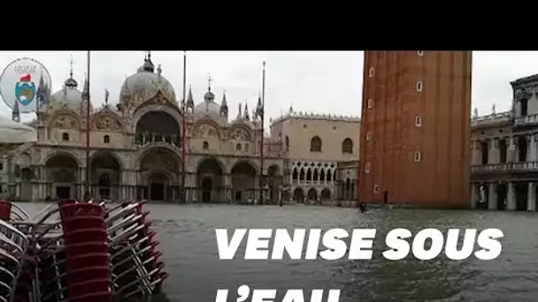 Les images de Venise sous l'eau après des inondations historiques