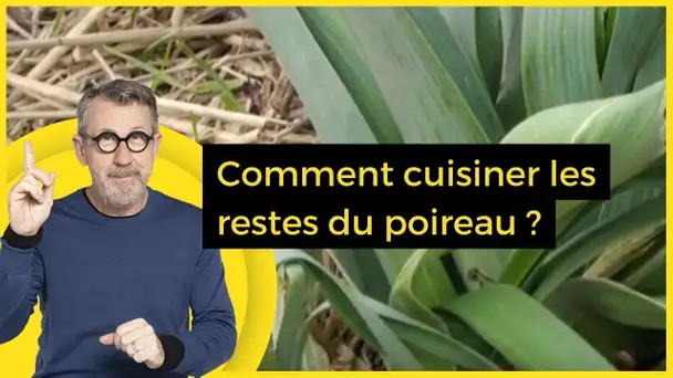 Comment cuisiner les restes du poireau ?  - C Jamy