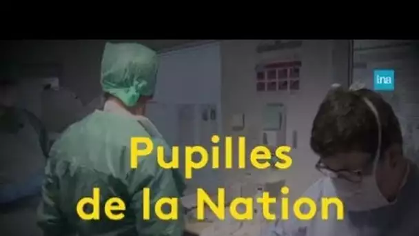 Le statut de pupille de la Nation en perpétuelle évolution | Franceinter INA