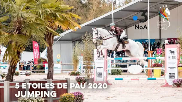 L'épreuve de saut d'obstacles du CCI 5 étoiles de Pau 2020