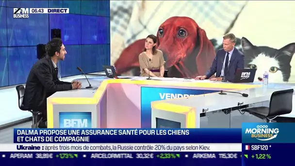 Dalma propose une assurance santé pour les chiens et chats de compagnie