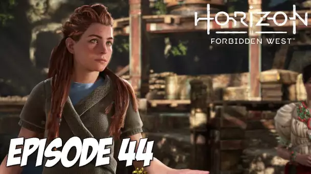 HORIZON II : FORBIDDEN WEST | J'AI CHAUD | Épisode 44