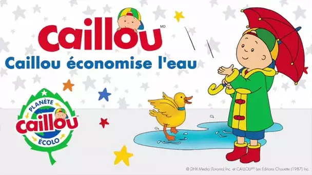 Caillou en français: Caillou économise l&#039;eau (Planète Écolo) | conte pour enfant