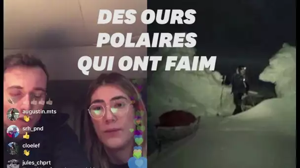 Mike Horn démuni face à des ours polaires "maigres et affamés" au Pôle Nord