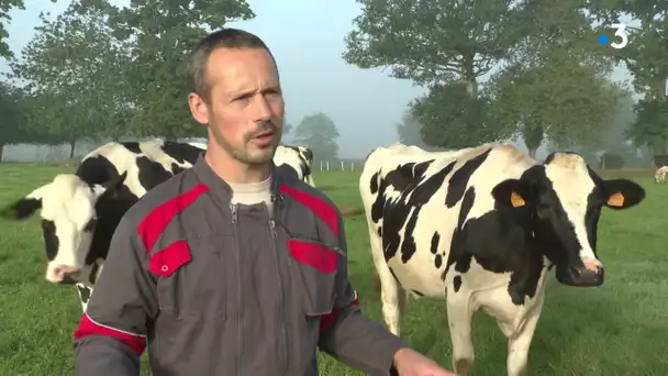 Empreinte carbone en Bretagne : les producteurs de lait réduisent leur bilan carbone