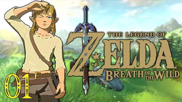 ZELDA BREATH OF THE WILD NINTENDO SWITCH #1 FR | L&#039;AVENTURE COMMENCE !