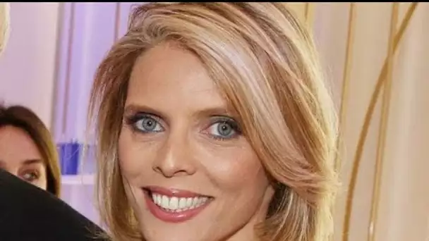 Sylvie Tellier : La patronne des Miss incendiée après la publication d'une photo de...