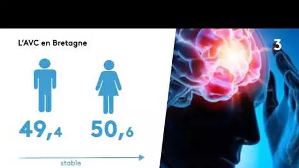Journée mondiale de l'AVC: la Bretagne particulièrement touchée