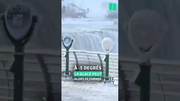 Aux États-Unis, les chutes du Niagara gèlent partiellement à cause du froid