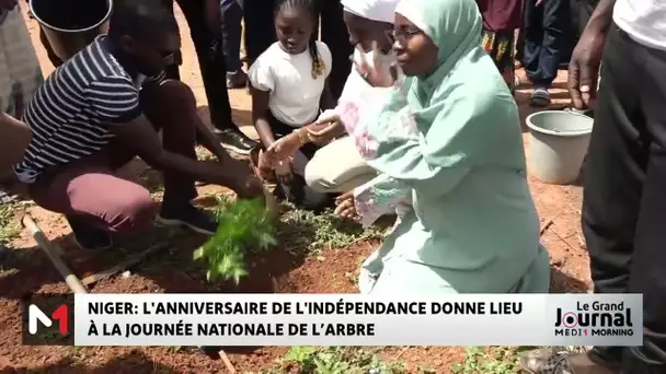 Niger : l´anniversaire de l´indépendance donne lieu à la journée nationale de l’arbre