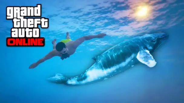 A LA RECHERCHE DE LA BALEINE - GTA 5 ONLINE