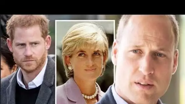 Le prince Harry et le prince William pourraient réagir à la représentation « étrange » de Diana dans