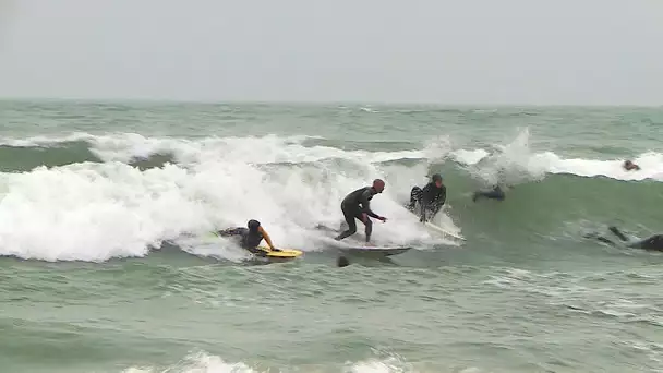 Palavas : les surfeurs de Méditerranée se croient sur les vagues de l'Atlantique