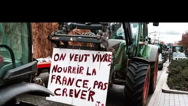 «L'État fait la sourde oreille» : près de Toulouse, des agriculteurs bloquent l’autoroute A64