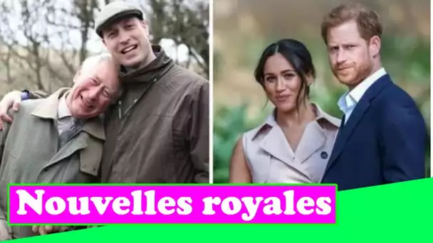 Le prince Harry et Meghan Markle ont rendu une « faveur » à Charles et William en démissionnant