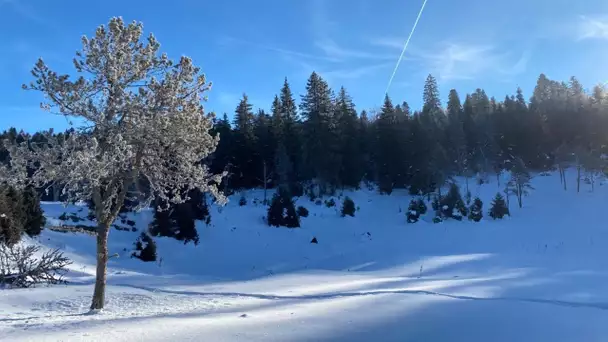 - 30 degrés: bienvenue à La Combe Noire de Mignovillard (Jura), la nouvelle reine du froid en France