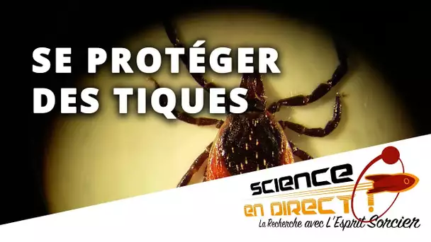 Tiques : gare aux morsures ! - Science En Direct