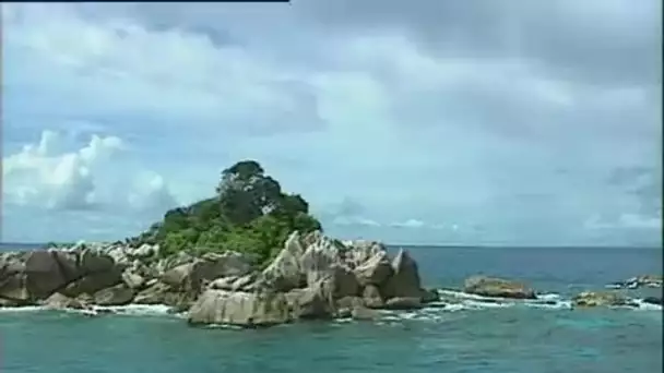 Seychelles : Ilot