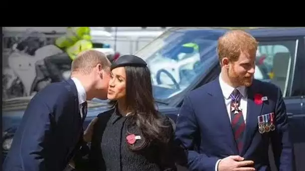 William "a reculé quand Meghan est allée le serrer dans ses bras … peut-être qu'il s'attendait à ce