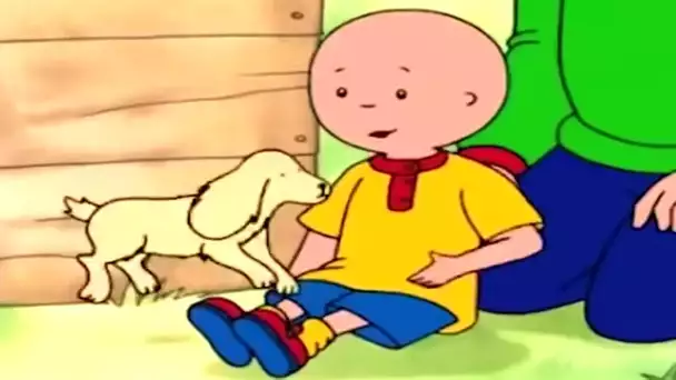 Caillou et le Chiot | Caillou en Français