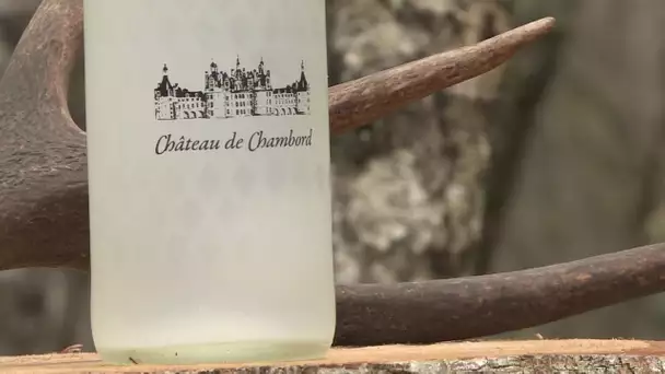 Chambord : le domaine s'est lancé dans la production d'eau de bouleau