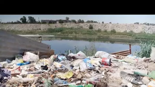 En Irak, les polluants empoisonnent l'eau des rivières • FRANCE 24