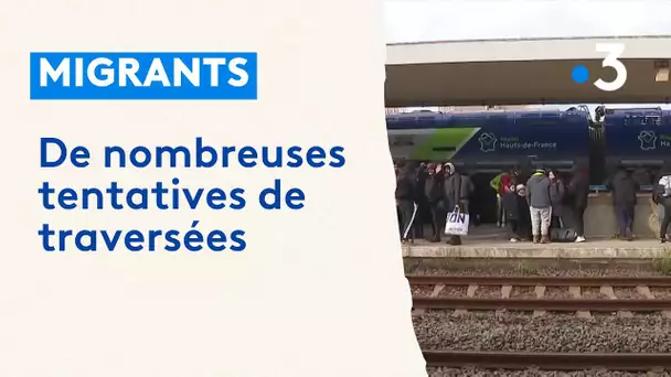 De nombreuses tentatives de traversées de migrants pour rejoindre l'Angleterre