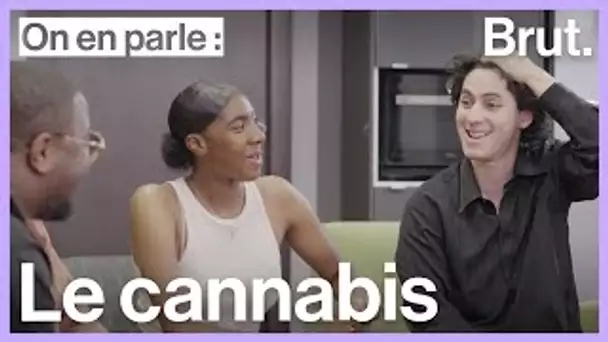 On en parle : le cannabis