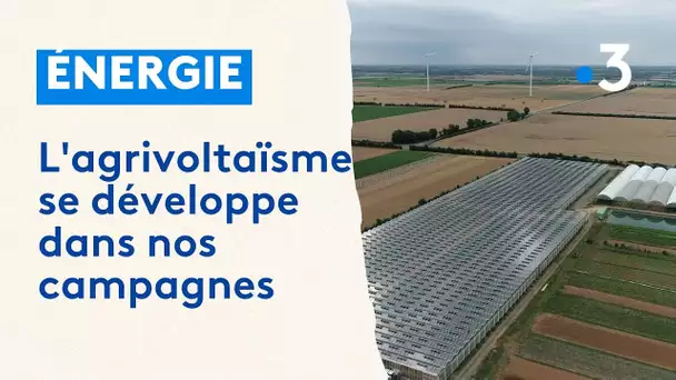 Agrivoltaïsme : l’énergie solaire au service des agriculteurs