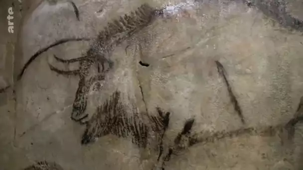 La grotte préhistorique de Niaux | Reportage | ARTE Junior