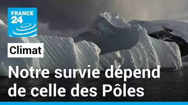 Les énergies fossiles rongent "le cœur de la machine climatique", les Pôles. • FRANCE 24