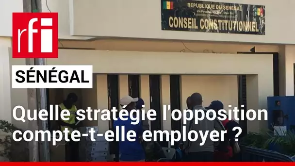 Sénégal :  quelle est la marge de manœuvre de l'opposition ? • RFI