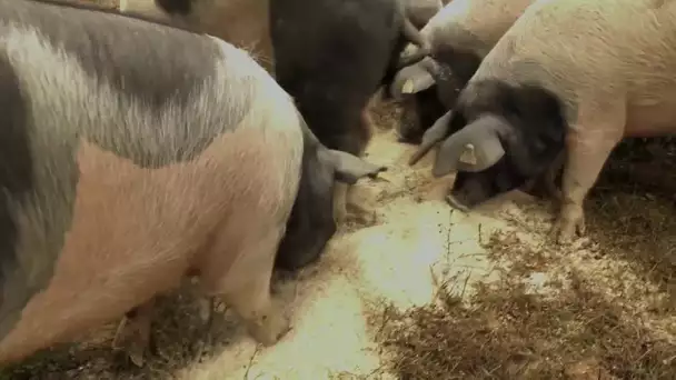 « Tous les chemins mènent à vous » à Saint-Yrieix-la-Perche en Haute-Vienne