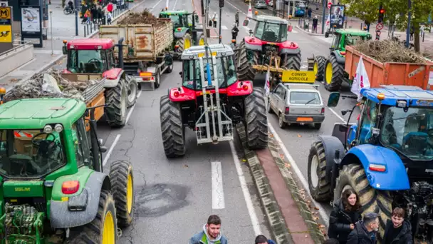 En Allemagne, après les agriculteurs la colère gagne la population