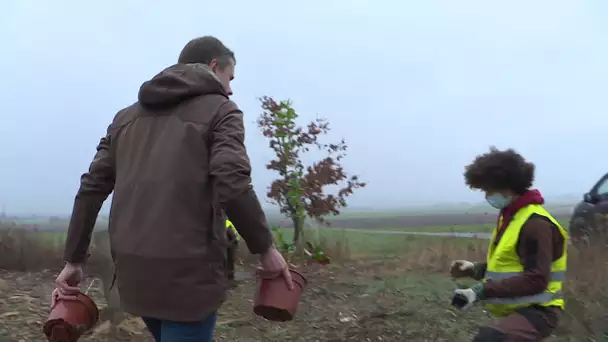 Biodiversité à Niort : le défenseur de la fôret